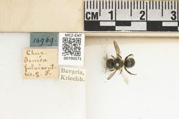Media type: image;   Entomology 790571 Aspect: Labels